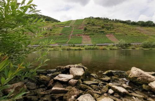 Ferienwohnung Moselblick - Photo 30