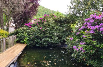 Gîtes Les Grandes Voies - Clé Vacances - Foto 6