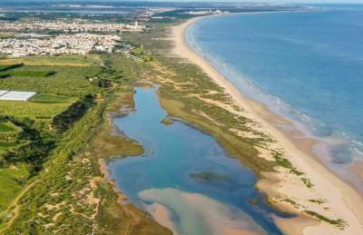 OmniaX Apartment - Foto 49