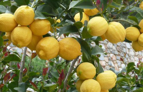 Labetia Apartments - Foto 40