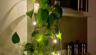 Altrove, lontano quanto basta - Foto 2