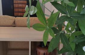 Casa Tia Pilar - Photo 17