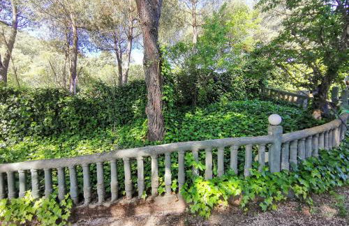 Finca rural Labriega del hueznar - Photo 48