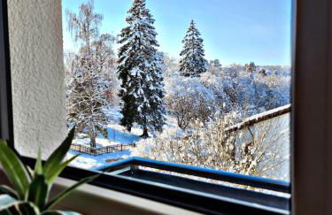 Lions Place Premium Apartments EXECUTIVE Luxus PENTHOUSE inklusive SPA - Foto 26