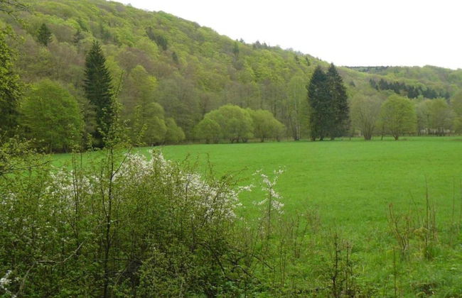 Hill-view Holiday Home in Dankerode Near Lake and Hiking - Foto 74