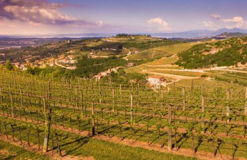 La casa di Anna green - Foto 35