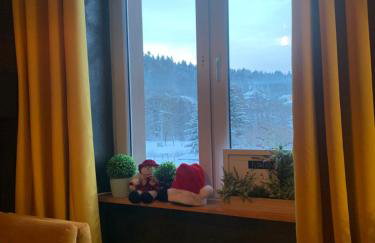 Ropienka Ski - Foto 57