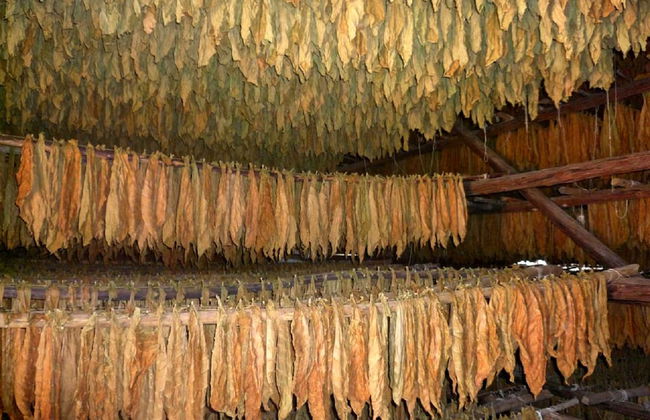 Villa in San Luis with garden and terrace - Foto 17