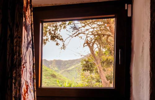 Live Buenavista El Palmar - Foto 34