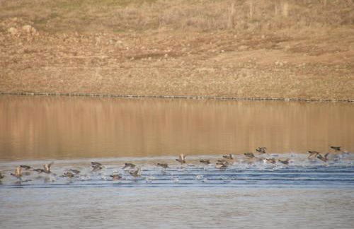 Casa da Ermida de Santa Catarina - Foto 9