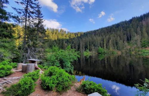 Ferienwohnung Schwarzwaldblick - Photo 33