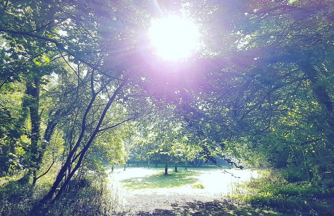 The Duchy Barn at Tregoose Old Mill - Foto 15