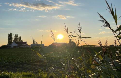 The Roost and The Nook Rural Barn Stays - Foto 29