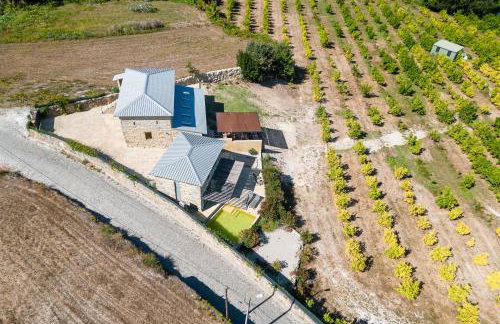 Lemon Villa with Private Indoor Heated Pool - Oporto Lemon Farm, near Porto - Foto 69