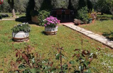 Monica's Country House - Foto 10