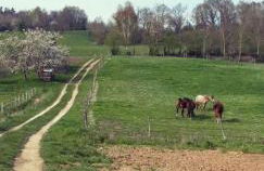 Charming 1920S House In Picardy, 2H From Paris - Foto 28