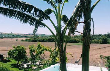 El Lagar de los Abuelos - Foto 1