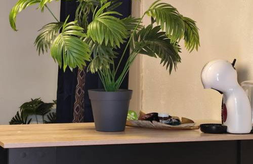 studio gien - Photo 5