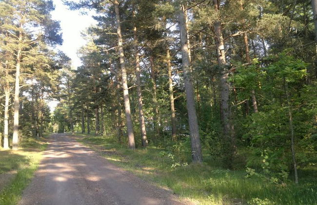 Well-equipped Beachside Cottage - Foto 57