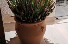 Appartement Penthouse Orihuela costa - Foto 33