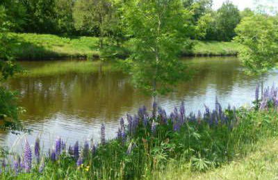Ferienhaus Am Yachthafen - Pier 30, wunderschöne 2 Pers -Whg - Foto 11