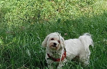 Home Sweet Home - Foto 50