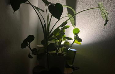 1 room apartment in Friedrichshain - Foto 12