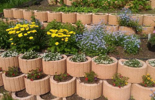 Private Souterrain Apartment in the green of Berlin - Foto 9