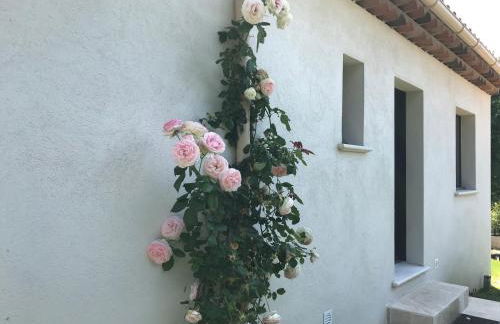 Villa l'art de fer - Foto 60