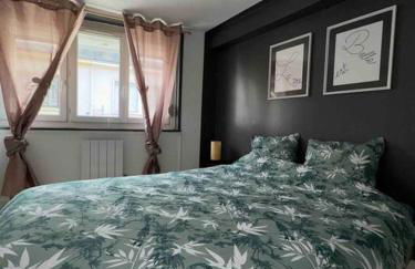 Appart centre ville - Foto 7