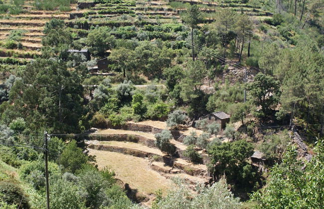 Detached Holiday Home With Shared Pool and Views - Foto 26