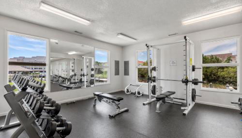 A Joyful Sound - Foto 5