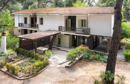 Rose Willow, Vourvourou #FeelsLikeHome - Foto 2