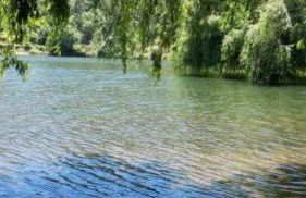 Moradia Albertina - Foto 39