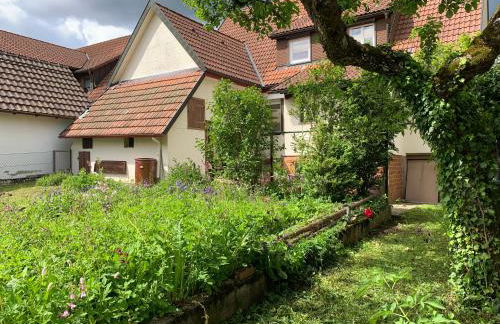 Haus Anna DG - Foto 8