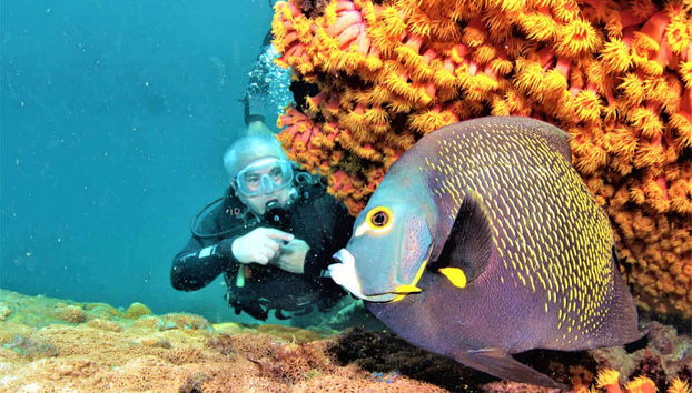 Arraial do Cabo Diving - Foto 4