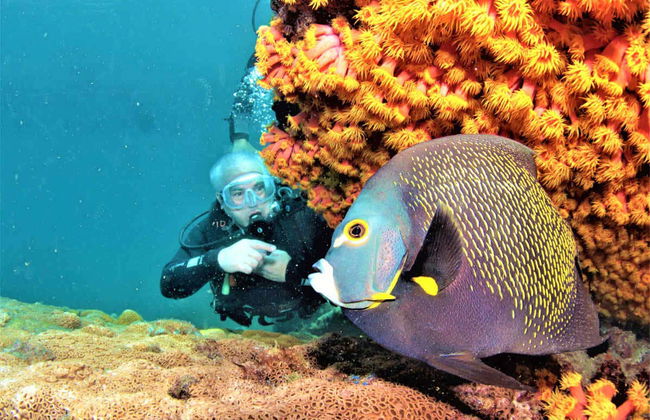 Arraial do Cabo Diving - Photo 4