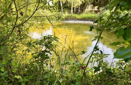 Bluebell House - Foto 74