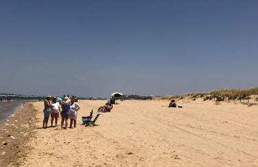 Castillo del Espiritu Santo (La Jara) - Foto 46