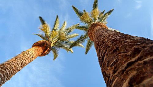 Cáceres Deluxe - Foto 5