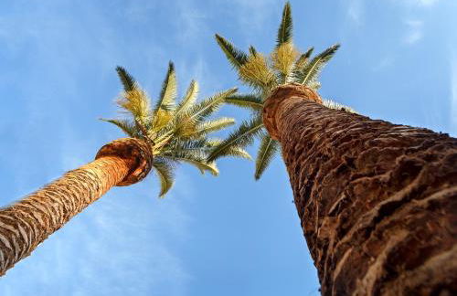 Cáceres Deluxe - Foto 5