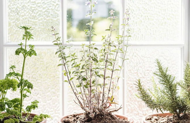 Stay Lagom Lodge - Foto 53