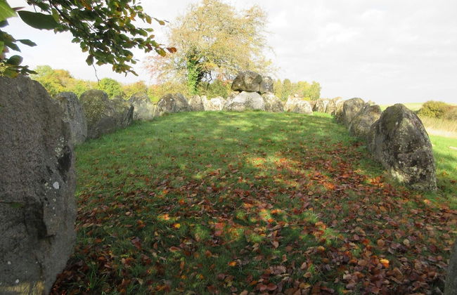 4 Person Holiday Home in Grevinge - Foto 28