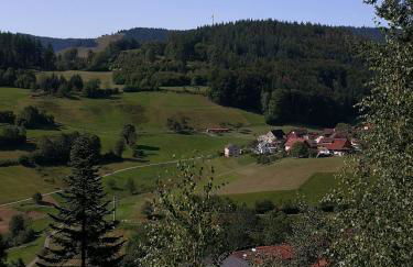 Ferienwohnung Belchenliebe - Foto 28