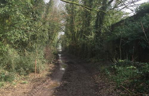 Wayside , 3 bed , 2 bath charming house close to Lincoln - Foto 40