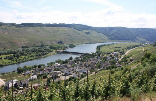 Moseltraum Alte Schmiede - Foto 22