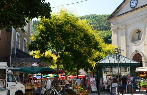 Gîte Wistéria - Foto 41