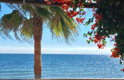 MI CAPRICHO 9C BEACHFRONT- Apartment with sea view - Costa del Sol - Photo 39