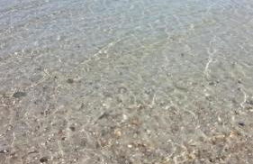 Blue A'Mare - Foto 42