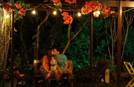 Chalet Schönenberg - Foto 18